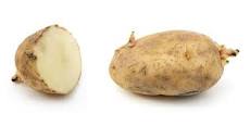 What is another name for a russet potato?