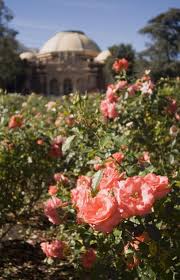 Exposition Park Rose Garden