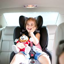 Car Seat Types Buckle Up With Brutus