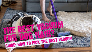 best vacuum cleaner for dog hair