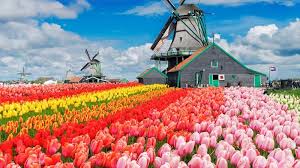 Netherlands (a country in northwestern europe). Amsterdam Holanda About Facebook