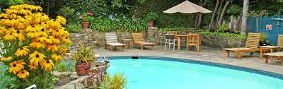 best 21 pet friendly hotels in carmel