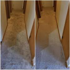 commercial carpet cleaning in portland