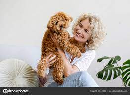 adorable toy poodle puppy arms its