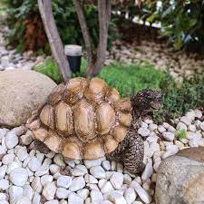 Turtle Statue Tortoise Figurine Outdoor