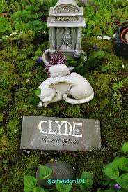 pet memorial garden in your backyard