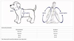 Blueberry Pet Dog Harness