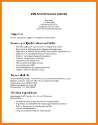 Resume Examples No Experience       Resume Examples No Work     The Letter Sample