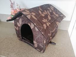 Feral Cat Dog House Winter Outdoor