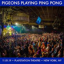 pigeons playing ping pong live concert