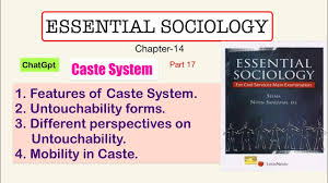 essential sociology ch 14 features