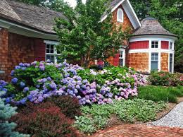 15 low maintenance shrubs this old house