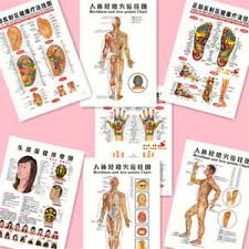 Details About 7pcs Set English Acupuncture Meridian Acupressure Points Posters Chart Wall Map