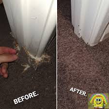 carpet patch repair carpet repairs perth