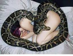 Social Junkie - A woman had a pet snake that she loved very much. The snake  was about 7 ft long and one day it just stopped eating. After several weeks  of