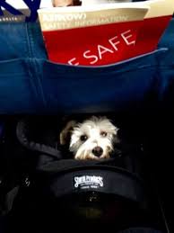 under seat e on a delta a 319