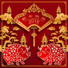 Chinese Happy Chinese New Year 2019 Pig Zodiac Awaken