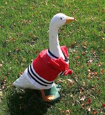 Goose Statue Wearing Blackhawks Jersey