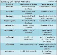 74 Particular Antibiotic Drug Classes Chart