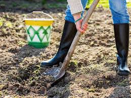 Prepare Your Soil For Spring Planting