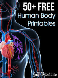 50 free human body printables my joy