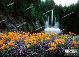 butchart gardens ross fountain with