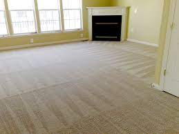 steam power carpet cleaning