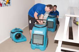 elite carpet cleaning business search nz