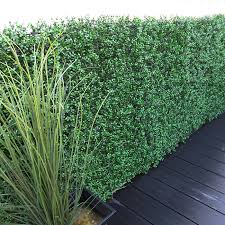 Boxwood Dark Artificial Hedge Panels