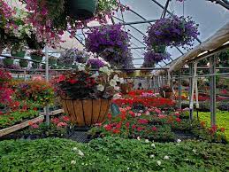Hains Greenhouses Inc Retail Garden