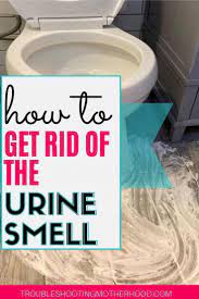 get rid of the urine smell in your
