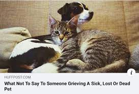 on grieving the loss of a pet