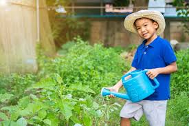 Asian Little Farmer Child Boy Watering