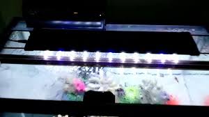 Aquaneat Aquarium Lighting Youtube
