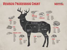 cuts of venison explained north