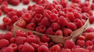 The berries are sweet and juicy, though some dogs can be a little messy with them if they are too juicy. Can Dogs Eat Cranberries Raspberries Blueberries And Blackberries Barking Royalty