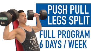 push pull legs split full 6 day