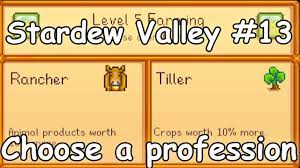 choosing profession rancher or tiller