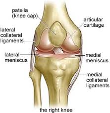 knee injuries specialist singapore