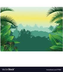 tropical forest background royalty free