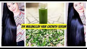 diy malung moringa hair growth serum