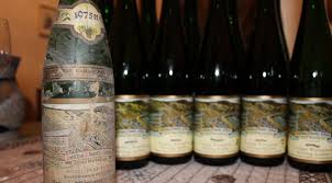 Terry Theises 2015 Germany Vintage Report Skurnik Wines