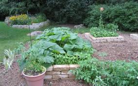 Growing Vegetables In Containers