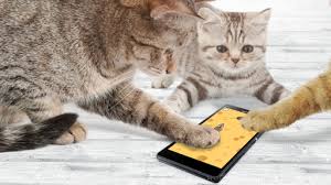 › games for cats on screen. Download Games For Cat Mouse On Pc Mac With Appkiwi Apk Downloader