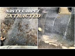 cleaning disgusting car carpets 22