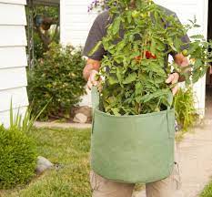 Container Gardening Vegetables Grow