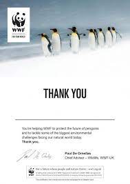 The emperor penguin is the largest penguin in the world and the only one that breeds in the harsh winter of antarctica. Adopt A Penguin Wwf