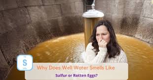 why well water smells like sulfur
