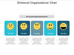 Divisional Organizational Chart Ppt Powerpoint Presentation