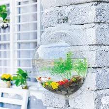 Betta Fish Tank Glass Flower Vase Plants